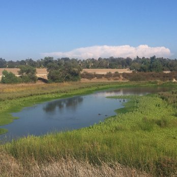 San Joaquin Marsh Wildlife Sanctuary - Parks Near Me - Irvine, California San Joaquin Marsh Wildlife Sanctuary - Parks Near Me - Irvine, California