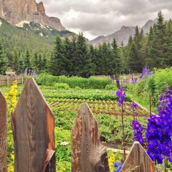 Hotel Armentarola - Kitchengarden - Hotels Near Me - San Cassiano, BZ