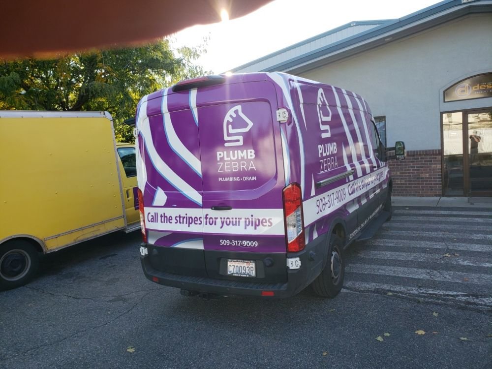 Slide of Plumb Zebra