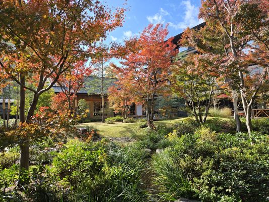 HOTEL THE MITSUI KYOTO, a Luxury Collection Hotel & Spa by null