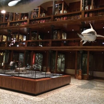 Bishop Museum - Museums Near Me - Honolulu, Hawaii
