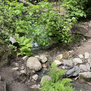 Bartholomew Park - Hiking Near Me - Sonoma, California