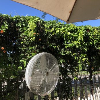Cenote - The front yard - Coffee & Tea Near Me - Austin, Texas Cenote - The front yard - Coffee & Tea Near Me - Austin, Texas