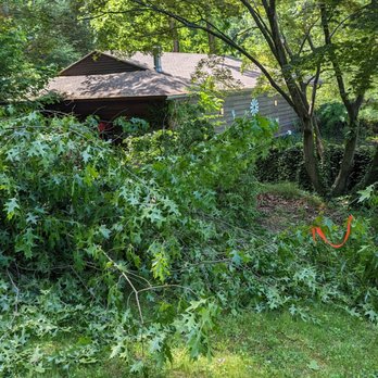 Hernandez Complete Tree Services - Tree Services Near Me Hernandez Complete Tree Services - Tree Services Near Me
