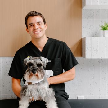 GoodVets Downtown Brooklyn - Veterinarians Near Me - Brooklyn, New York