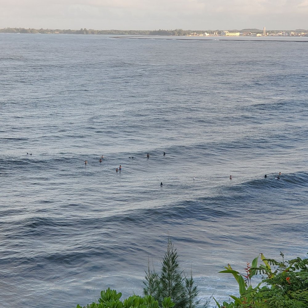Hale Kai Hawaii Bed & Breakfast - Surfers in the ocean - Hotels Near Me - Hilo, Hawaii Hale Kai Hawaii Bed & Breakfast - Surfers in the ocean - Hotels Near Me - Hilo, Hawaii