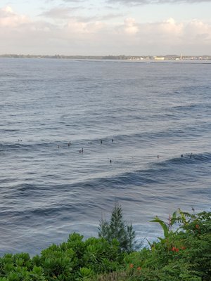 Hale Kai Hawaii Suites - Oceanfront Hilo Lodging by null