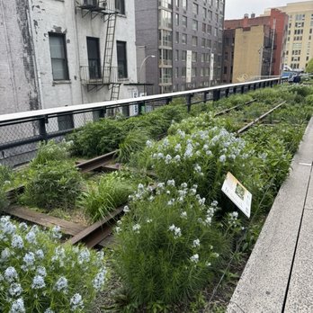 The High Line - Parks Near Me - New York, New York The High Line - Parks Near Me - New York, New York