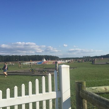 Councell Farms - The Field of Fun was very busy and festive. - Pumpkin Patches Near Me - Cordova, Maryland
