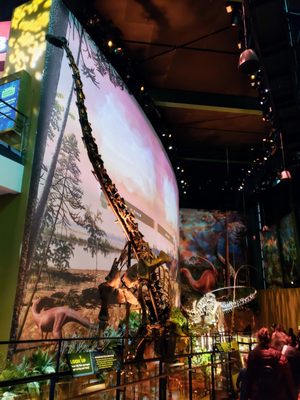 The Children's Museum of Indianapolis by null