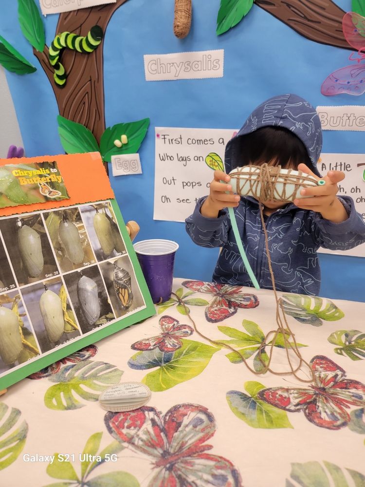 Dream-I Education - Buena Park - childcare center in Buena Park, CA