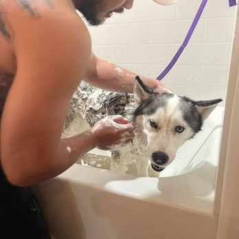 Barkys Bathtime - Pet Groomers Near Me - Rancho Cucamonga, California Barkys Bathtime - Pet Groomers Near Me - Rancho Cucamonga, California