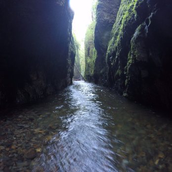Oneonta Falls - Parks Near Me - Corbett, Oregon Oneonta Falls - Parks Near Me - Corbett, Oregon