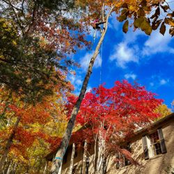 Catawba Forestry - We love the fall in Blacksburg, Virginia!