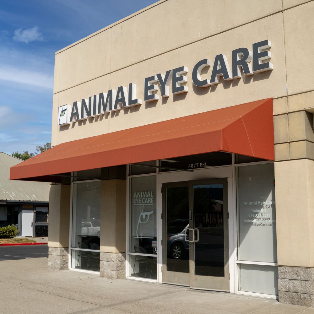 Animal Eye Care El Cerrito, CA 94530 - Last Updated January 2026 - Yelp