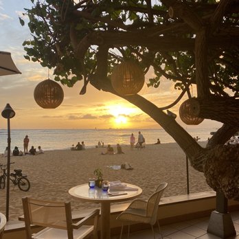 Hau Tree - Sunset views at Hau Tree. - Seafood Near Me - Honolulu, Hawaii Hau Tree - Sunset views at Hau Tree. - Seafood Near Me - Honolulu, Hawaii