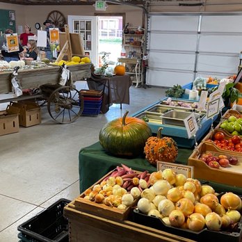 Lattin Farms - Fruits & Veggies Near Me - Fallon, Nevada Lattin Farms - Fruits & Veggies Near Me - Fallon, Nevada