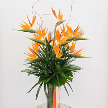 Florena & Co - Tropical Paradise Vase - Florists Near Me - Hanover Park, Illinois