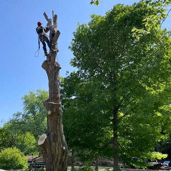Anthony's Tree Service & Landscape - Tree Services Near Me - Carmel, Indiana Anthony's Tree Service & Landscape - Tree Services Near Me - Carmel, Indiana