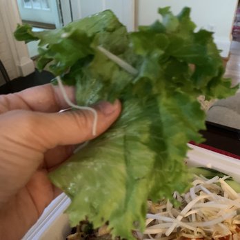 Pho 1 Grill - Only one piece of lettuce on 'platter' - Vietnamese Near Me - Henrico, Virginia Pho 1 Grill - Only one piece of lettuce on 'platter' - Vietnamese Near Me - Henrico, Virginia