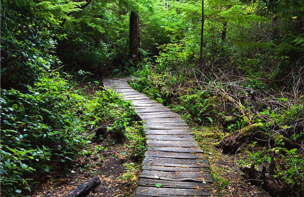 ZipHealthy - grief counselor in Bentonville, AR