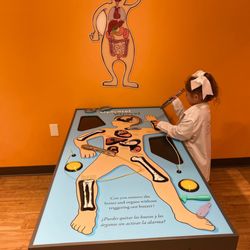 McKenna Children's Museum - Hospital