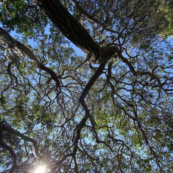 Clearview Treatment Programs - Backyard - Counseling & Mental Health Near Me - Los Angeles, California