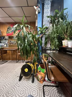 Asian Bakery & Fast Food by null