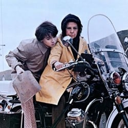Galerie Cinema - Harold and Maude läuft seit 35 Jahren in der GALERIE CINEMA