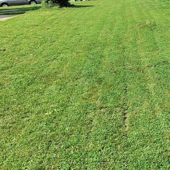 Top Shotz Landscaping - Lawn Services Near Me - Cincinnati, Ohio Top Shotz Landscaping - Lawn Services Near Me - Cincinnati, Ohio