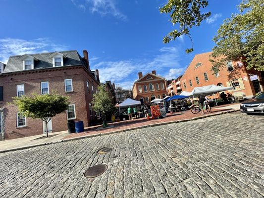 Beverly Bees by null