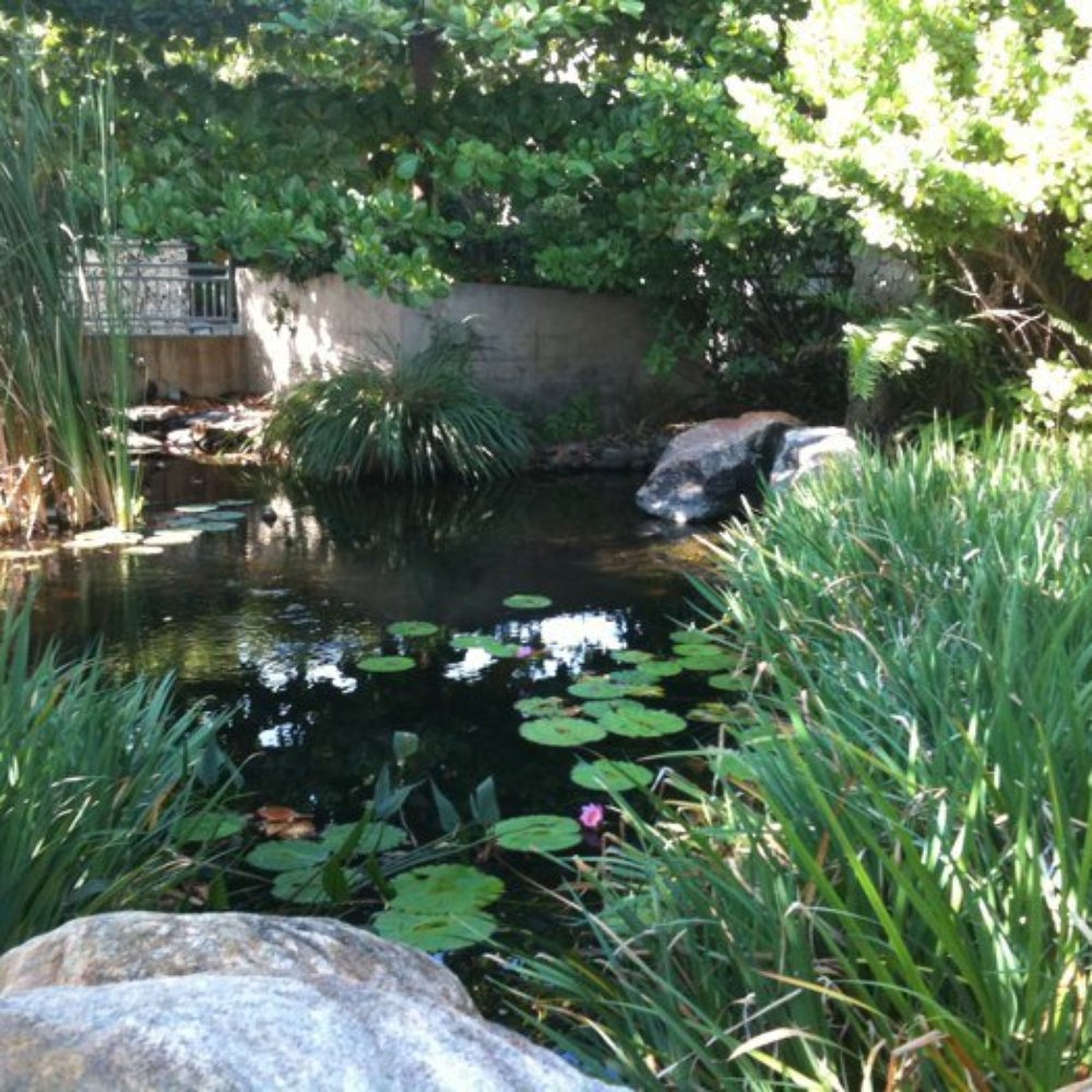 Ichimura Miami-Japan Garden Ichimura Miami-Japan Garden
