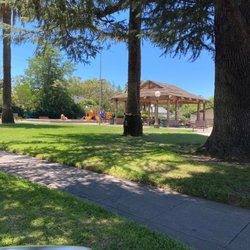 Shady Spot to enjoy our treats from Corner Scone