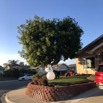 Matias Landscaping - a snowman in front of a house - Tree Services Near Me Matias Landscaping - a snowman in front of a house - Tree Services Near Me