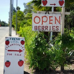 Strawberry Stand - When the signs are out, we are open!
