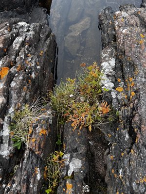 Presque Isle Park by null