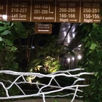 SCP Hilo Hotel - Love!!! - Hotels Near Me - Hilo, Hawaii SCP Hilo Hotel - Love!!! - Hotels Near Me - Hilo, Hawaii