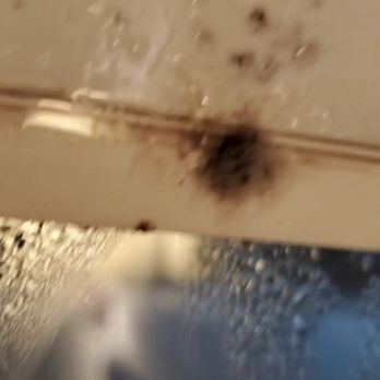 Country Squire Inn & Suite - Fluffy Mold - Hotels Near Me - Coshocton, Ohio Country Squire Inn & Suite - Fluffy Mold - Hotels Near Me - Coshocton, Ohio