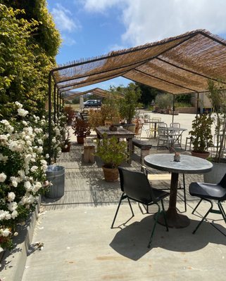 Babcock Winery & Vineyards by null