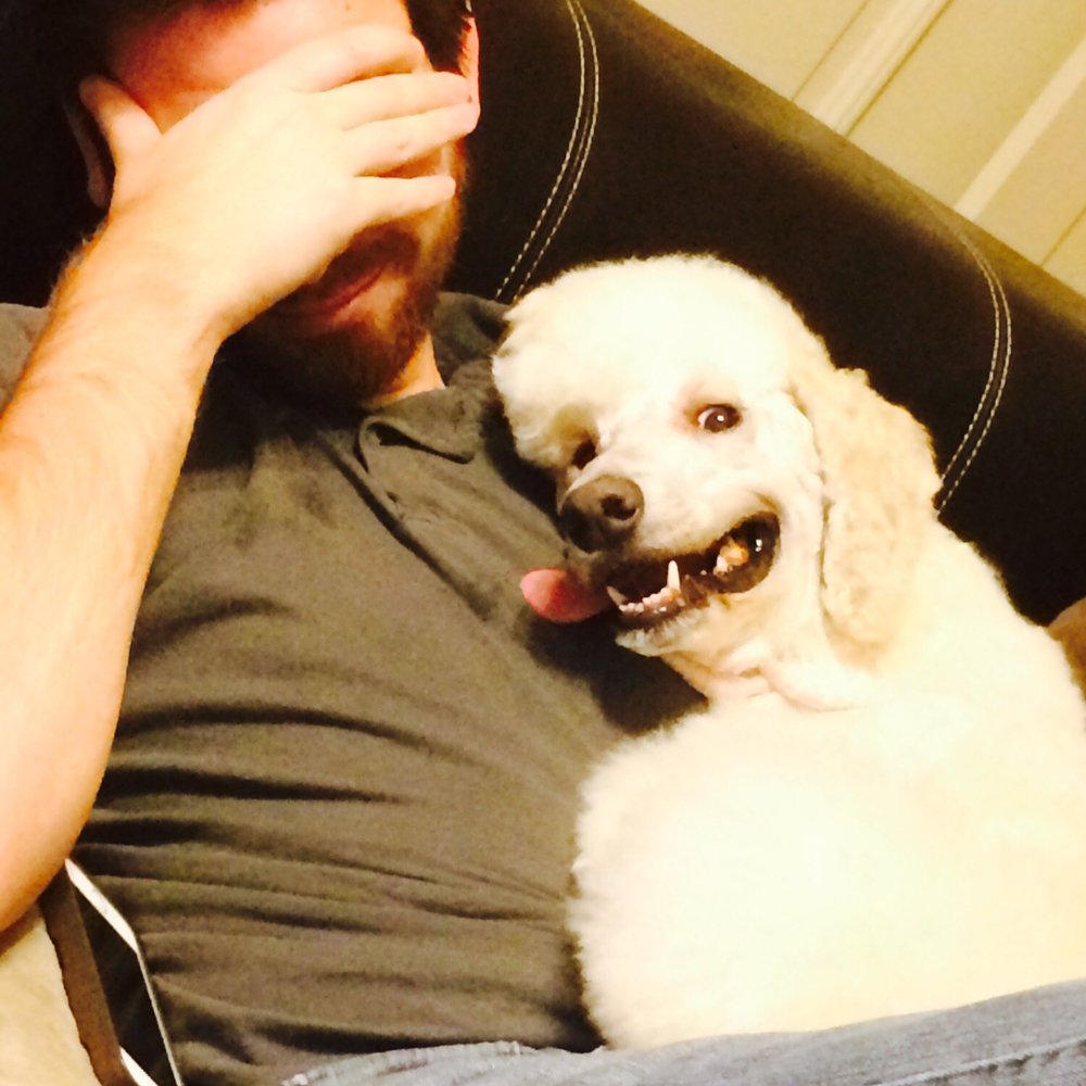 Poodles & Pals - Animal Shelters Near Me Poodles & Pals - Animal Shelters Near Me