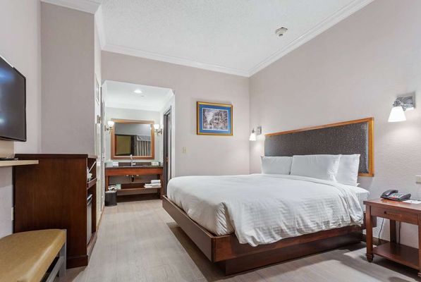 Wyndham Garden Baronne Plaza New Orleans by null