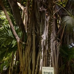 Key West Ghost & Mysteries Tour