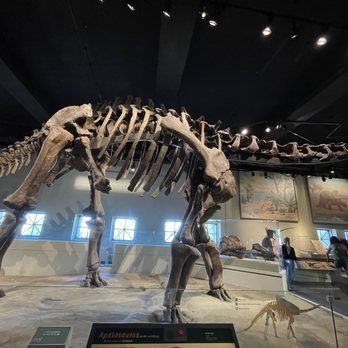 Field Museum - Museums Near Me - Chicago, Illinois Field Museum - Museums Near Me - Chicago, Illinois