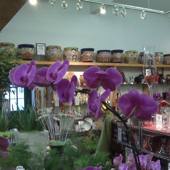 Zocalo - Florists Near Me - Edmonton, Alberta