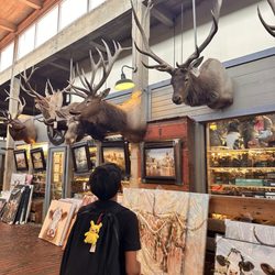 Stockyards Station - KO Trading