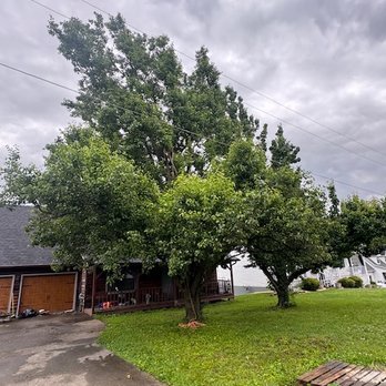 Tolbert's Tree Service - Tree Services Near Me Tolbert's Tree Service - Tree Services Near Me