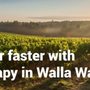 Photo of Walla Walla Drip IV
