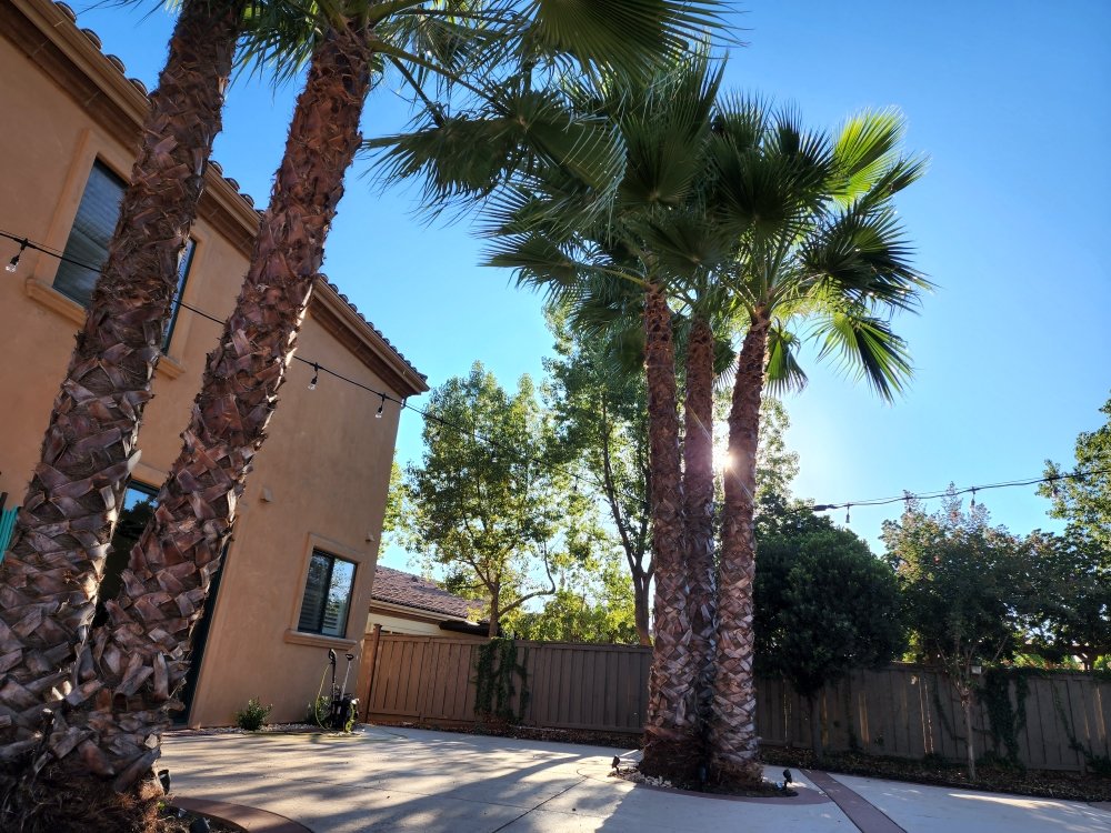 Slide of Roseville Home Services