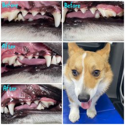 All of this in just 15 minutes! All of this in just 15 minutes!