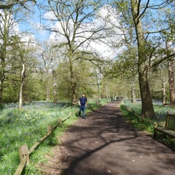 Queen Charlotte's Cottage - Wandering off into the wood